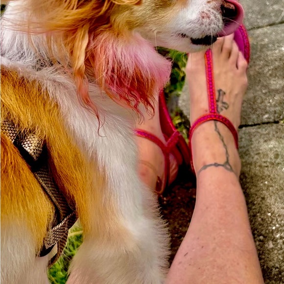 Meet your Posher, Kristin - Picture 11 of 14